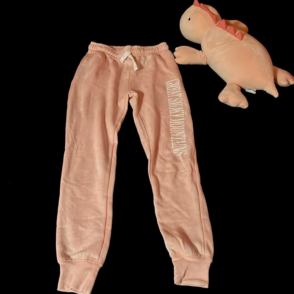 Light pink “Great Smoky Mountains” Sweatpants